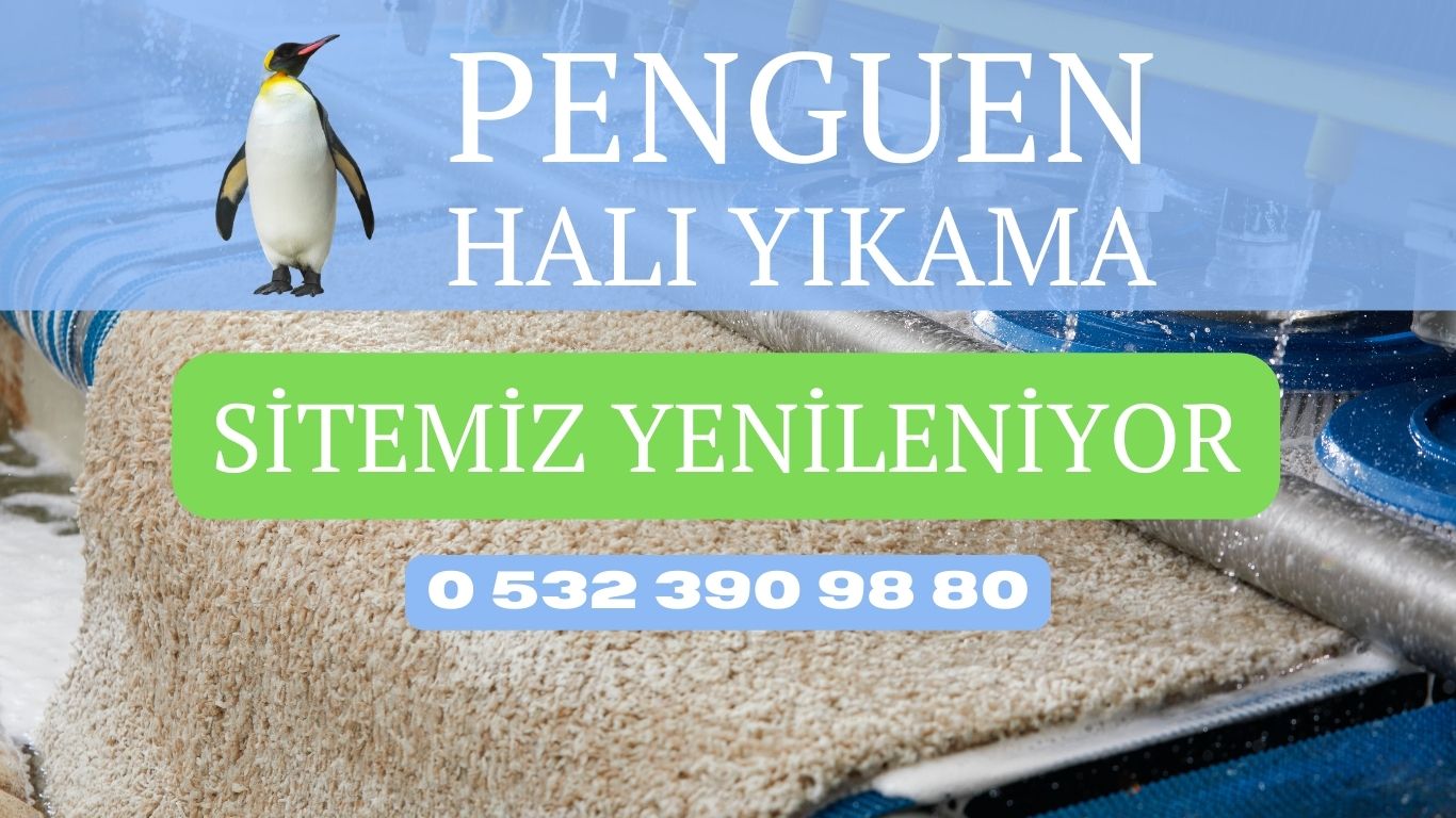 izmir Penguen Halı Yıkama